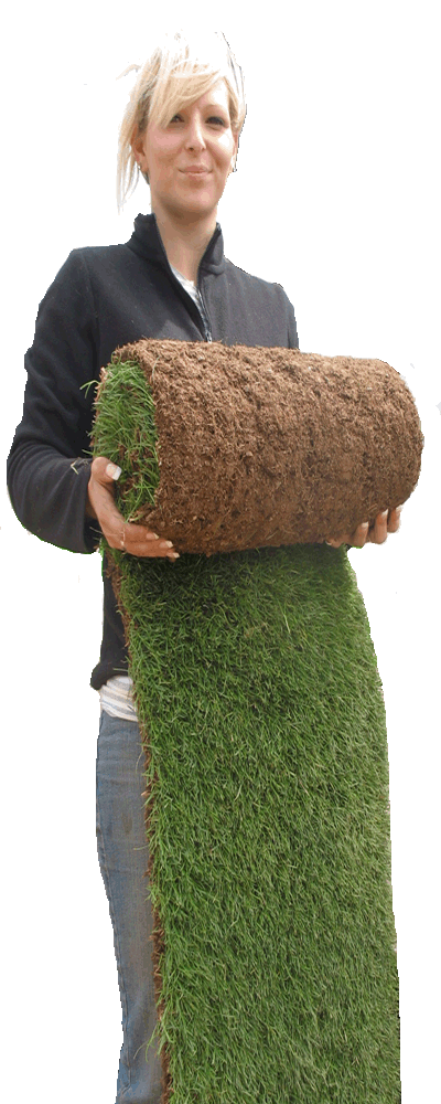 Roll of Turf in Torquay